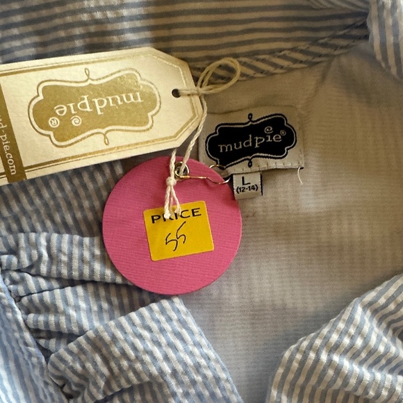 Mud Pie Blue and White Striped Mini Dress - Picture 6 of 6